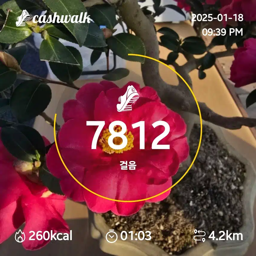 인증