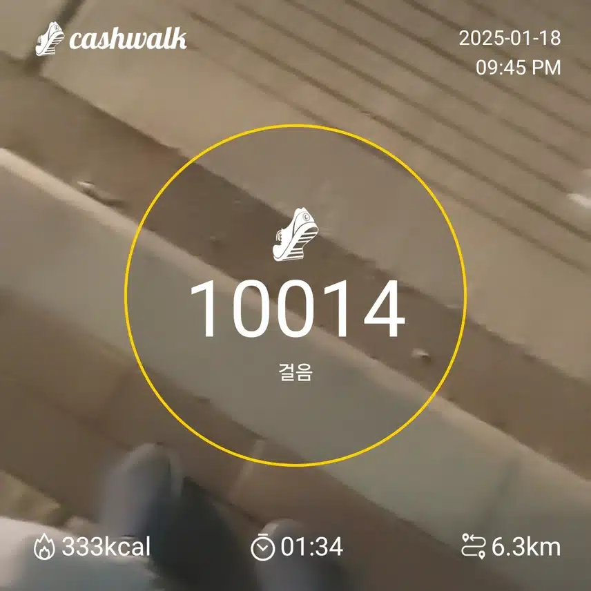 인증
