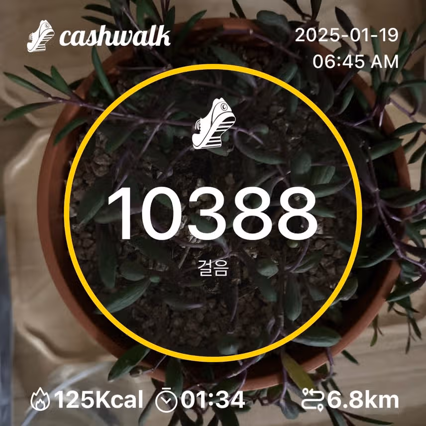 인증