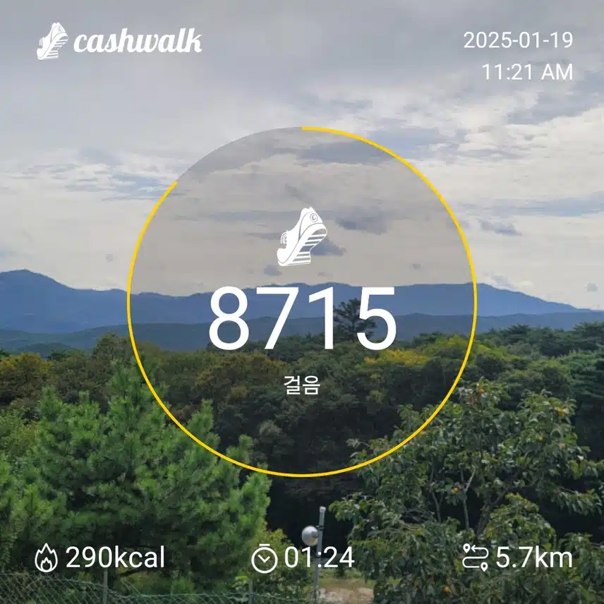 인증 