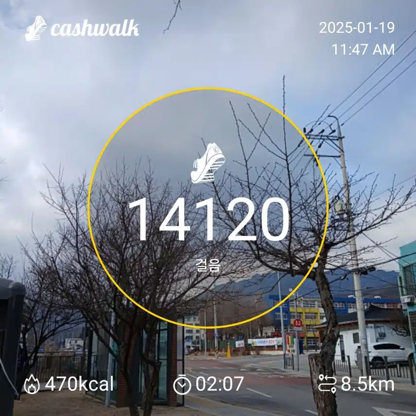 산양산삼 7천보
