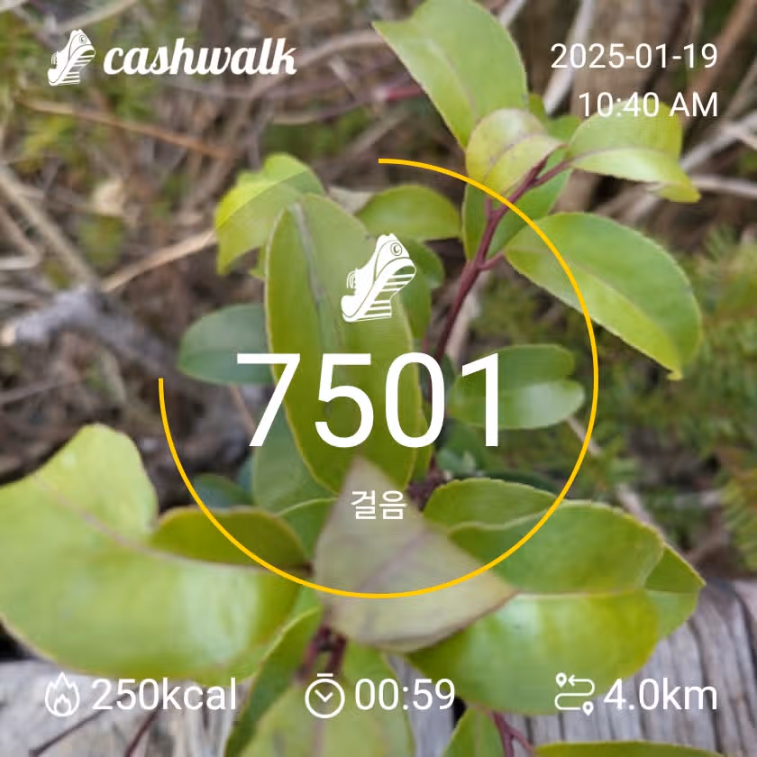 인증