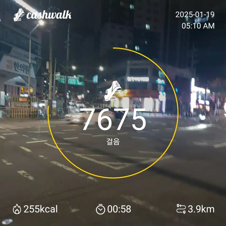 7000 보  걷기