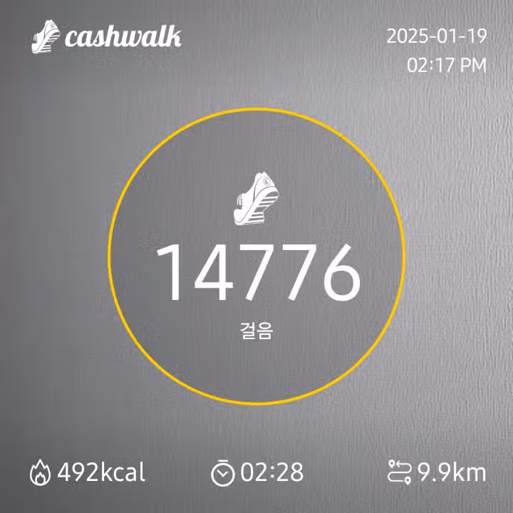 걷기인증 