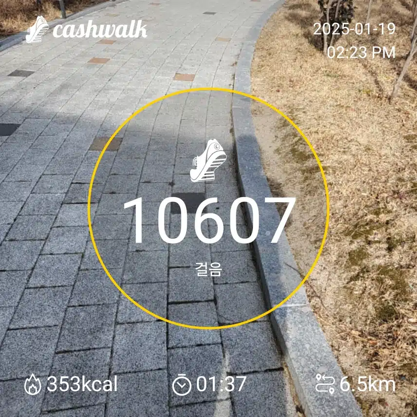 인증