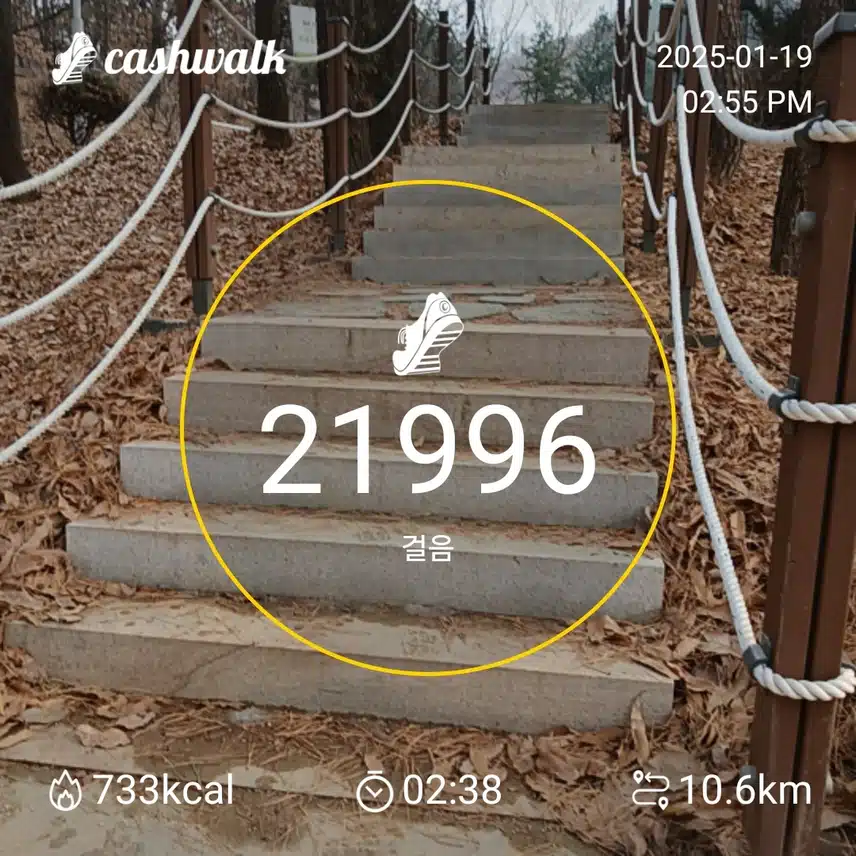 인증 