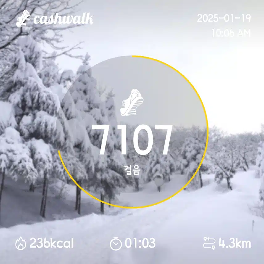 7일차