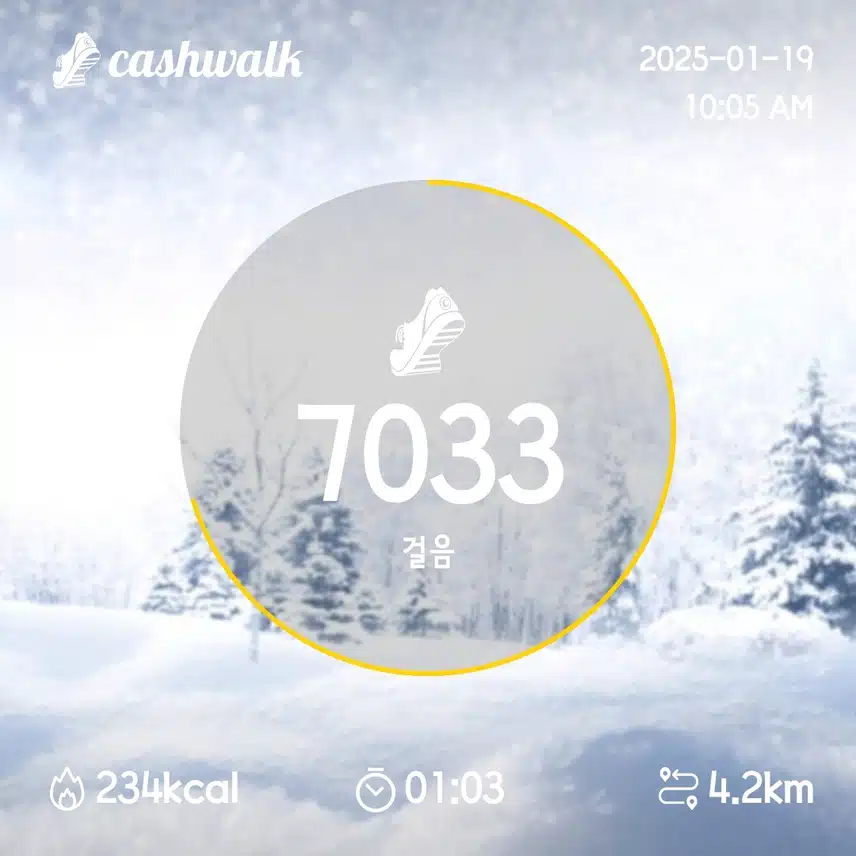 밸런스핏 5일차