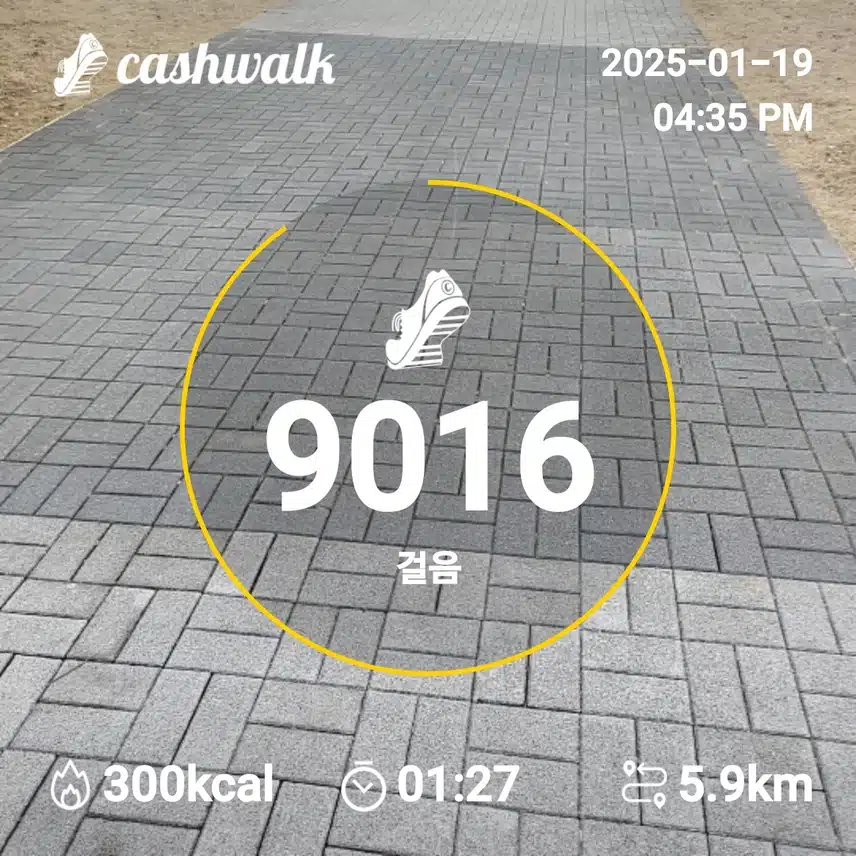 인증