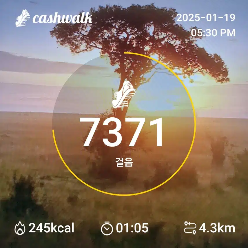인증