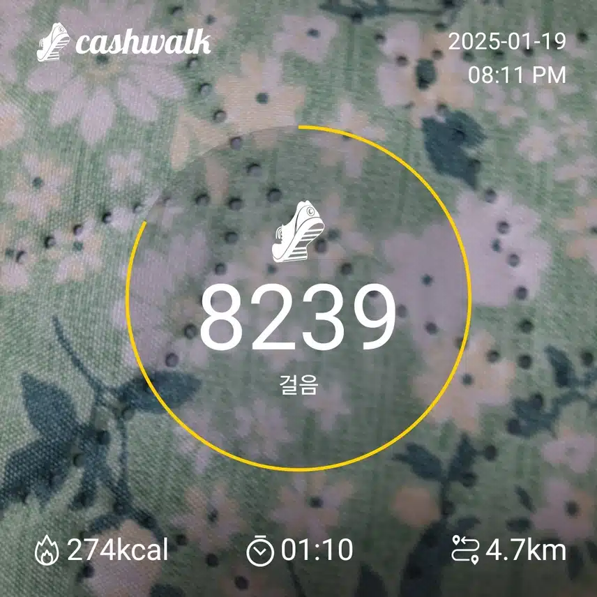 인증