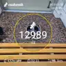 board-img