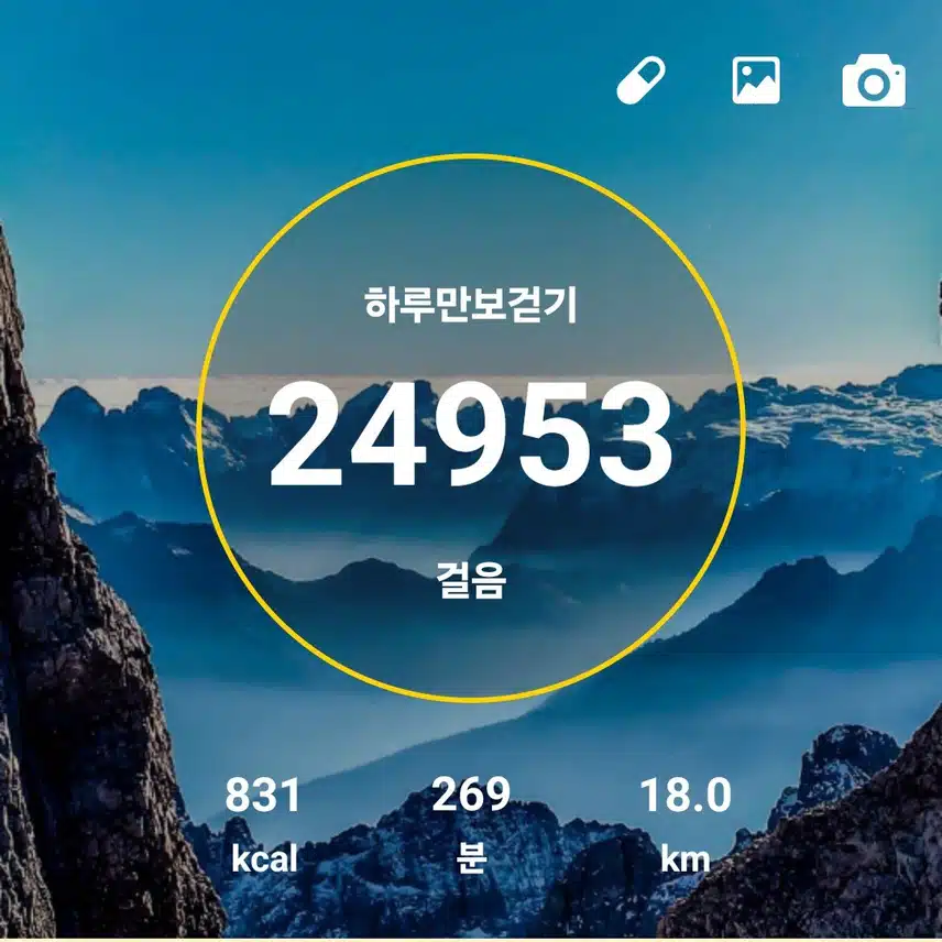 명절산양산삼침향환하루7천보걷기챌린지7일차인증샷