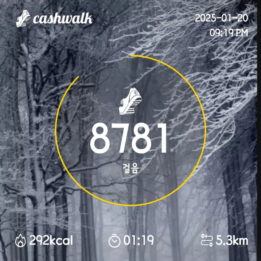 6일차