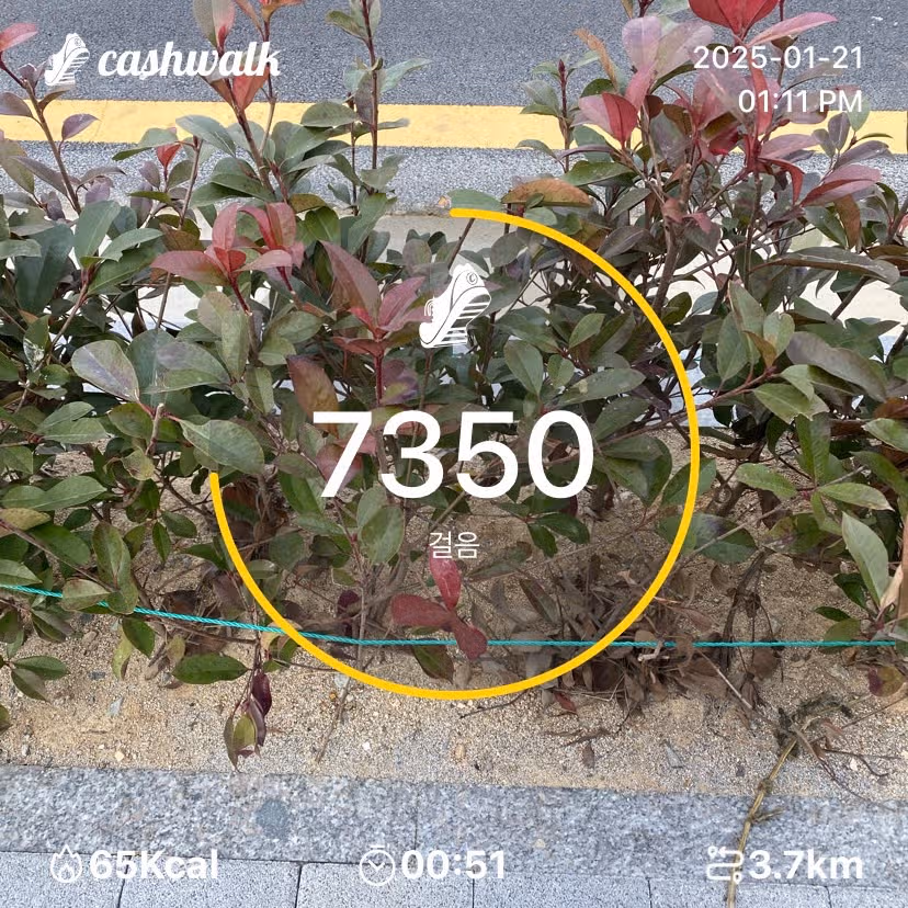 인증