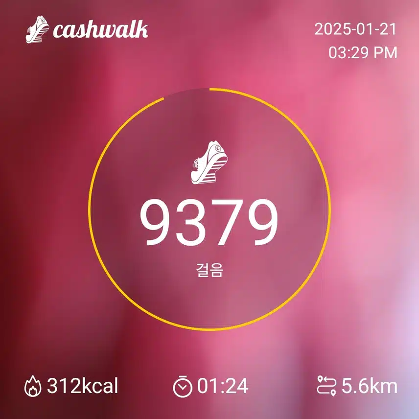 인증 