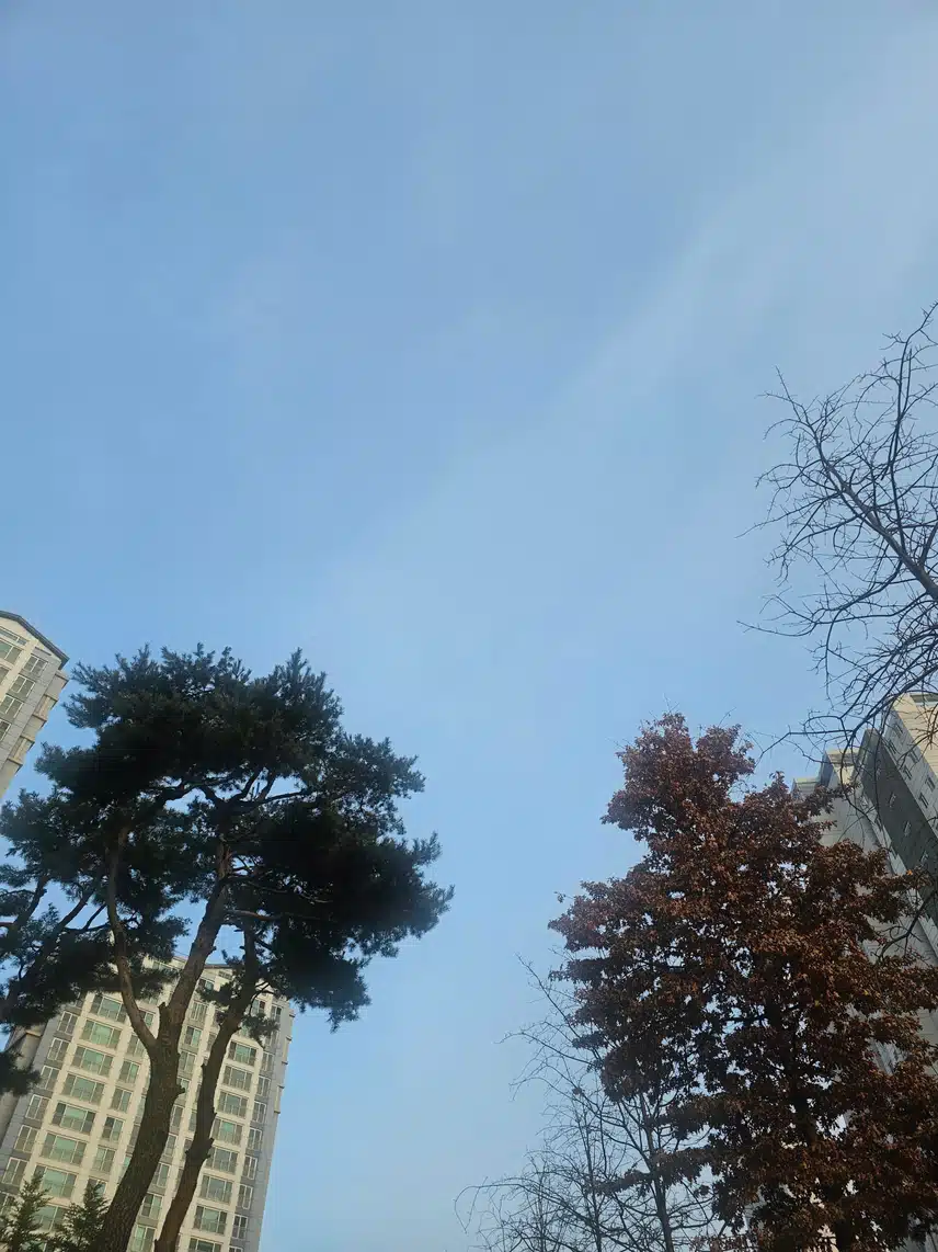 걷기운동 시작이요