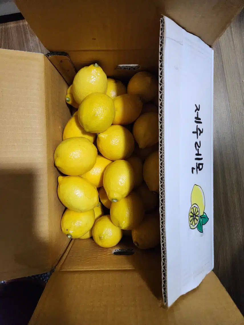 무농약 레몬 샀어요 