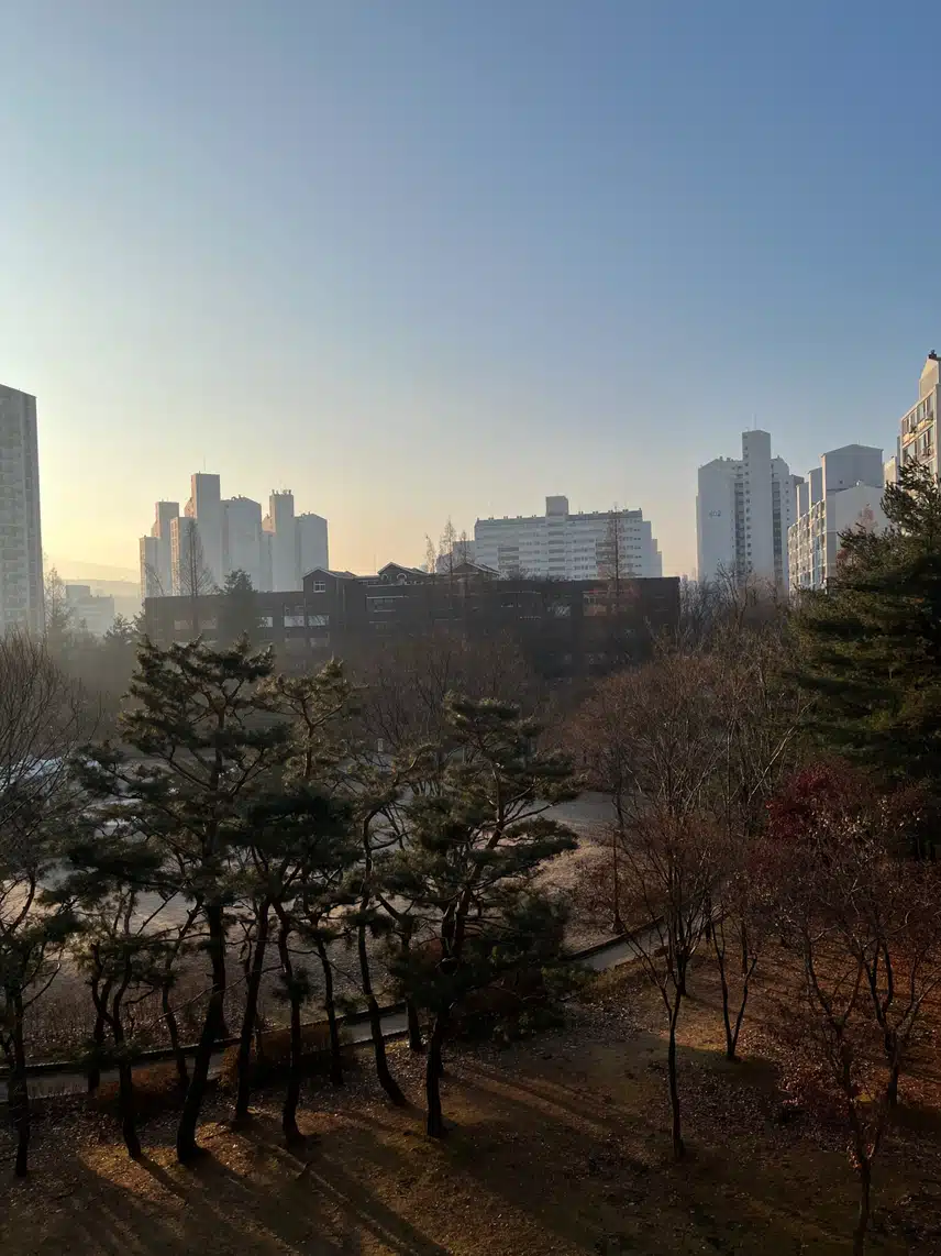 굿모닝~