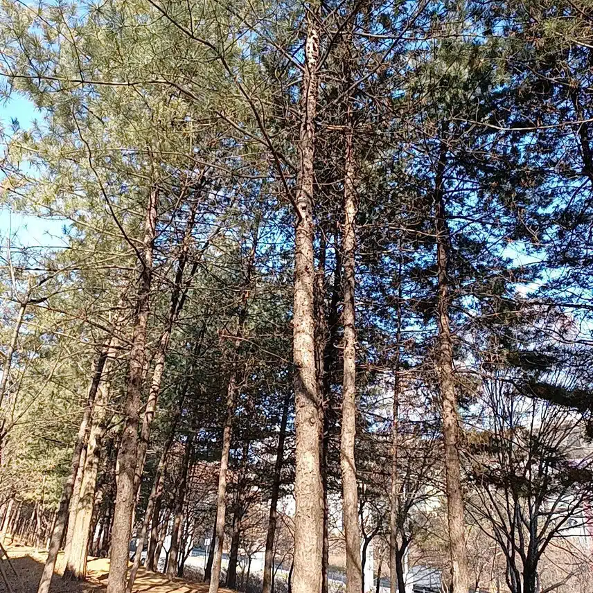 퇴근합니다!