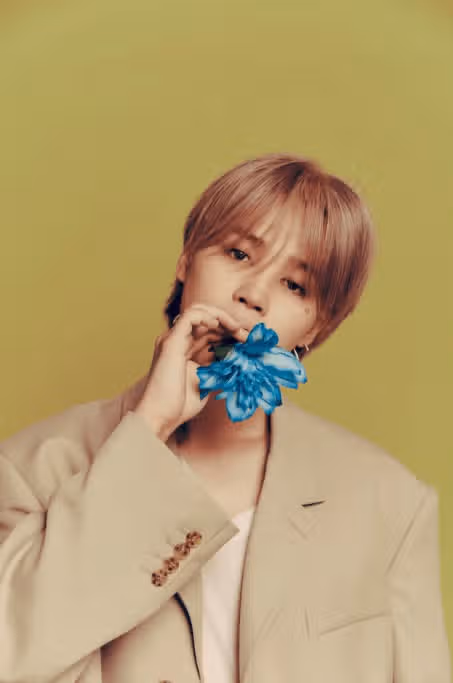 Jimin, le 4 categorie degli 