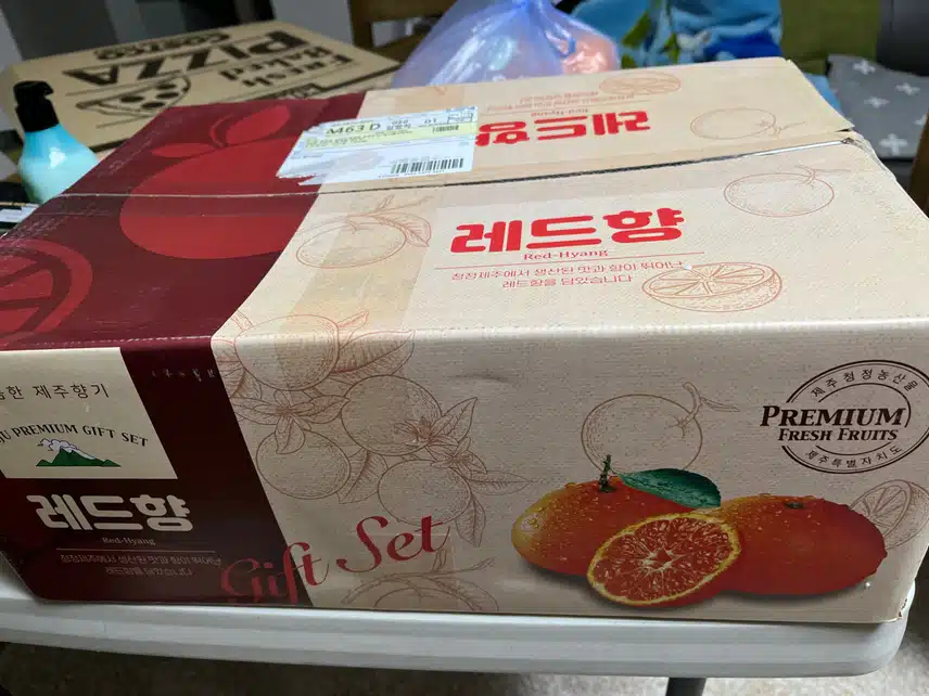 레드향 
