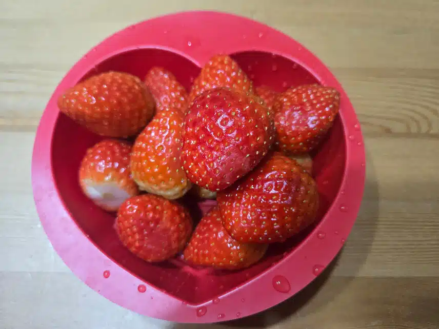 *🍓딸기 맛있어요🍓