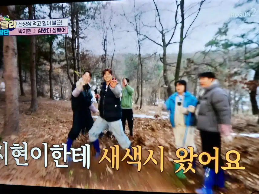 트랄랄라 유랑단이 이번엔 산양삼을 캐러갔네요