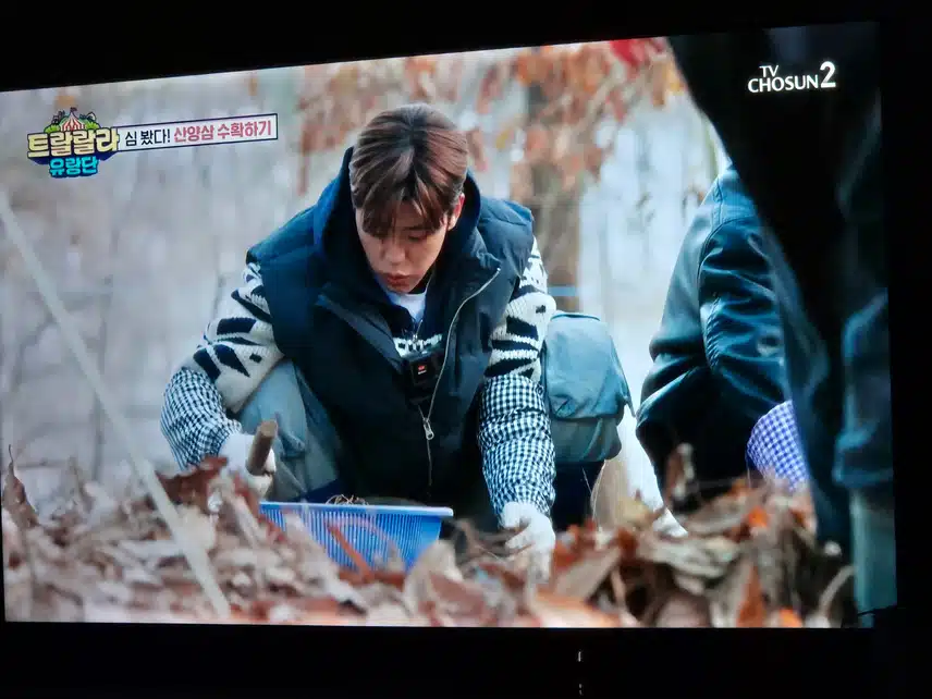 트랄랄라 유랑단이 이번엔 산양삼을 캐러갔네요
