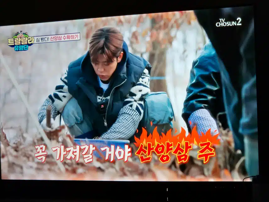 트랄랄라 유랑단이 이번엔 산양삼을 캐러갔네요