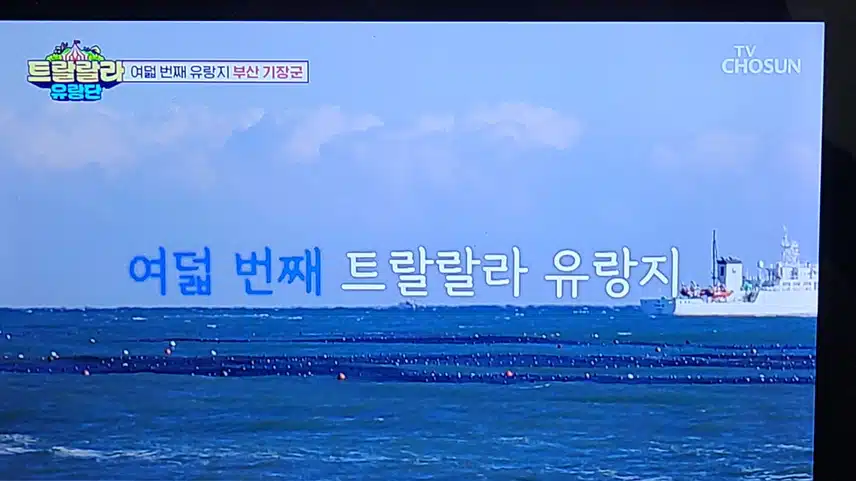 부산 기장편 박지현의 빼앗긴 마이크를 찾아서!