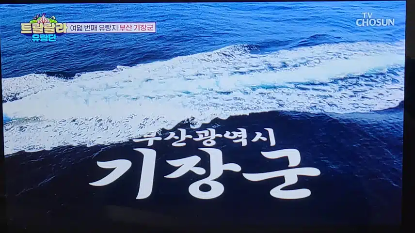 부산 기장편 박지현의 빼앗긴 마이크를 찾아서!