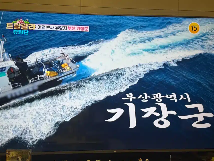 트랑단 부산국제가요제&상도님생파