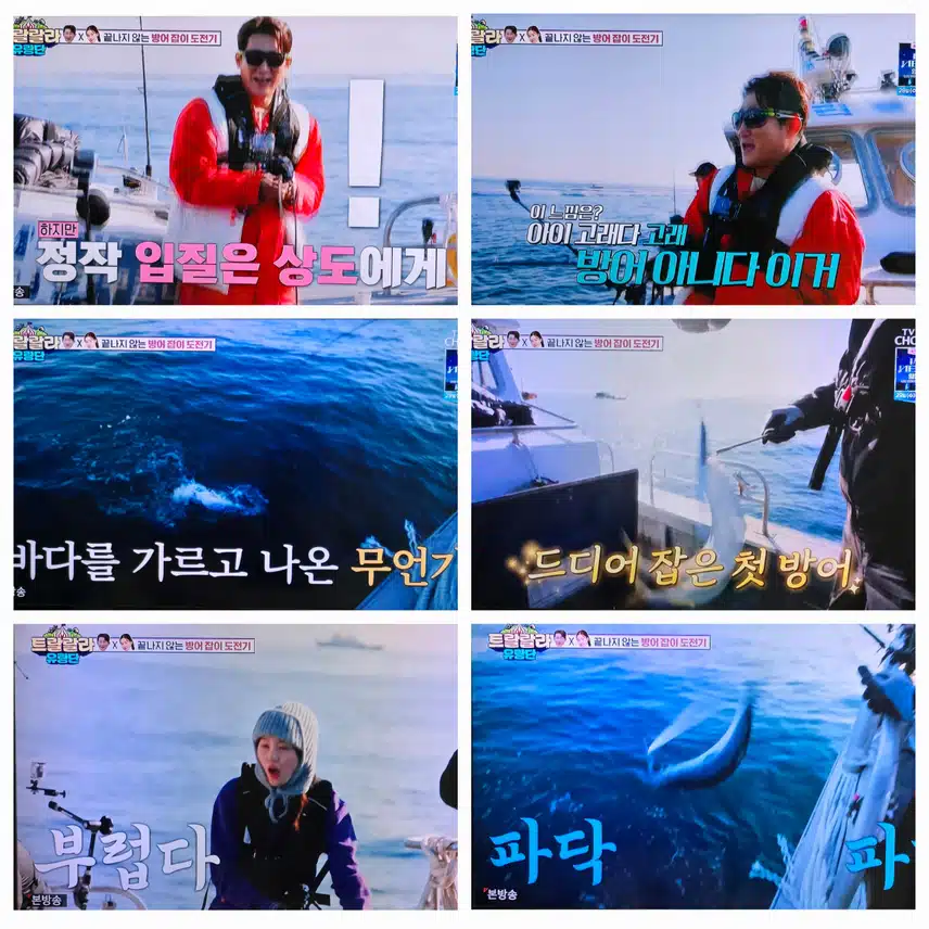 나나 남매 방어잡이 도전기