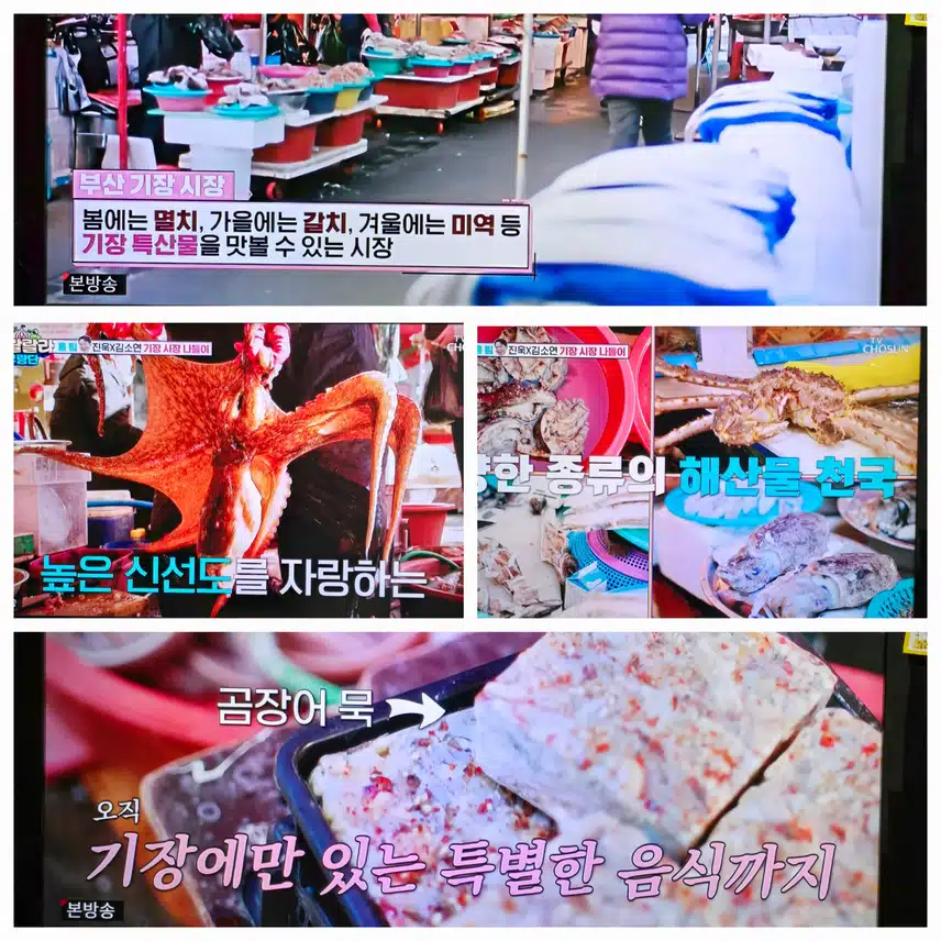 기장 시장 나들이