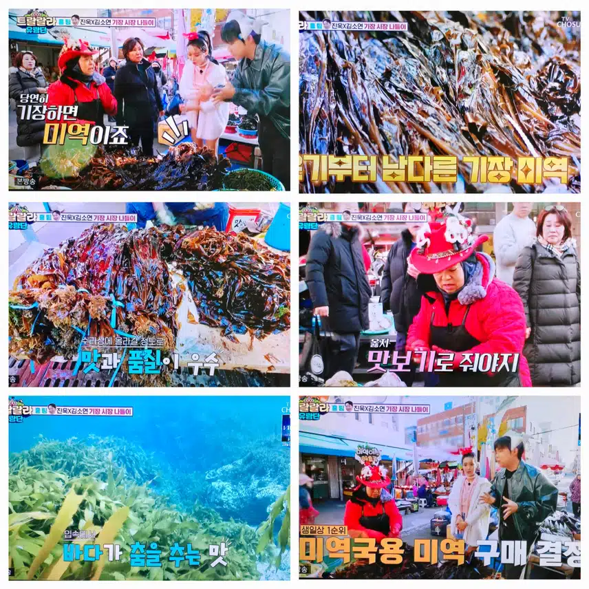 기장 시장 나들이