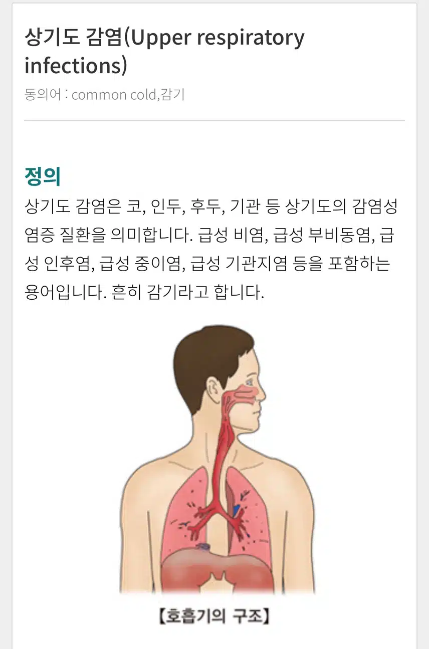 요즘 감기 너무 독해요-우습게 알았다가 독하게 앓고 있어요!!