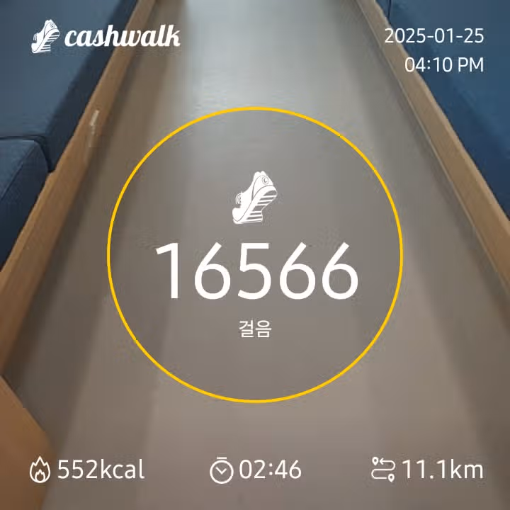 걷기인증 