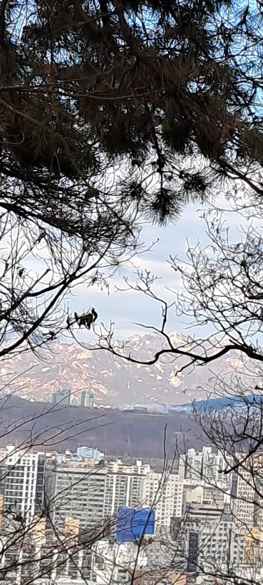 처음 본 바위산