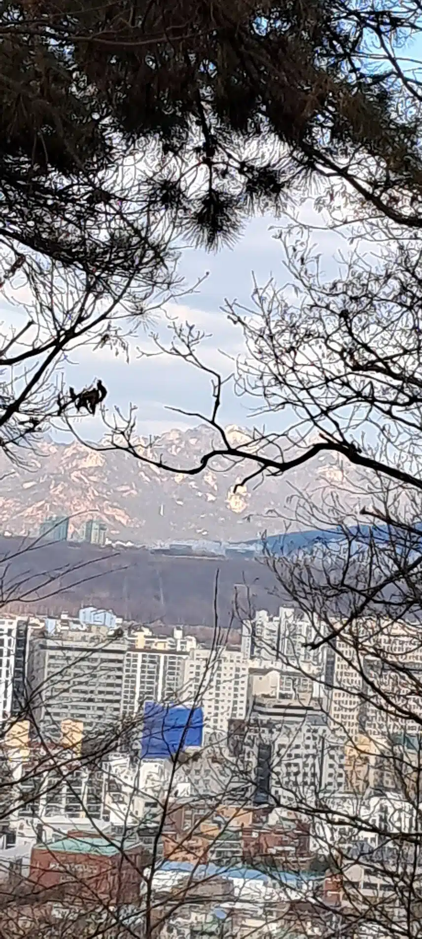 처음 본 바위산