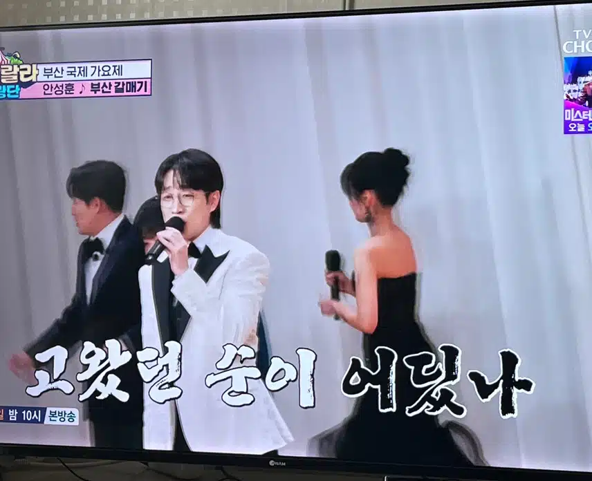 안성훈님의 부산 갈매기 무대 역시네요