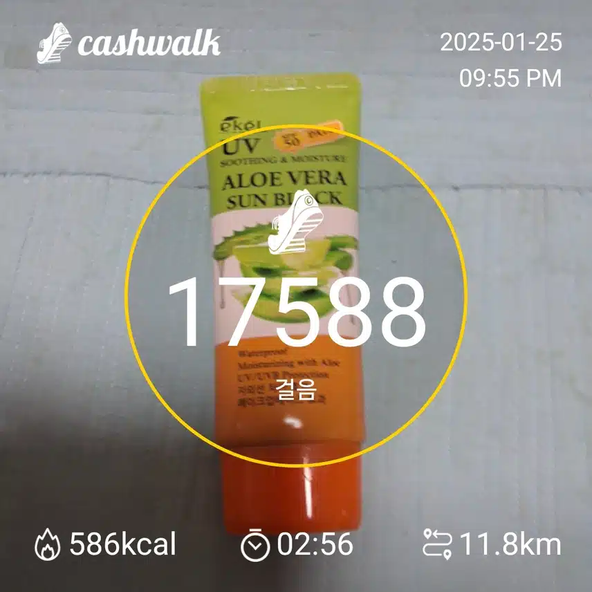 인증요.ㅎ~