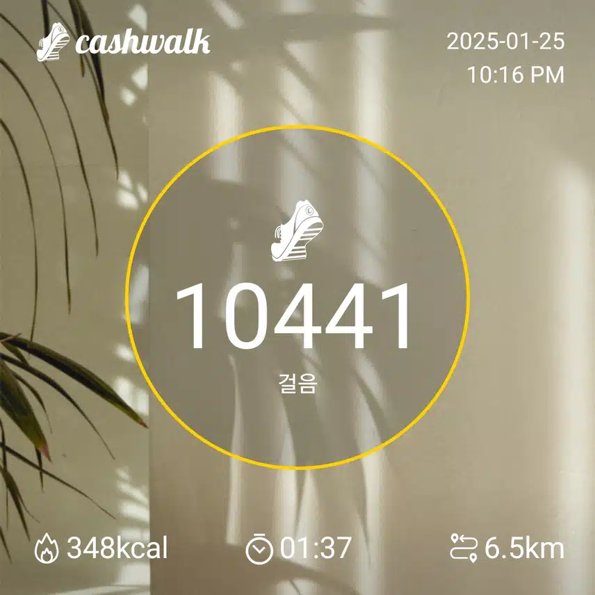 인증