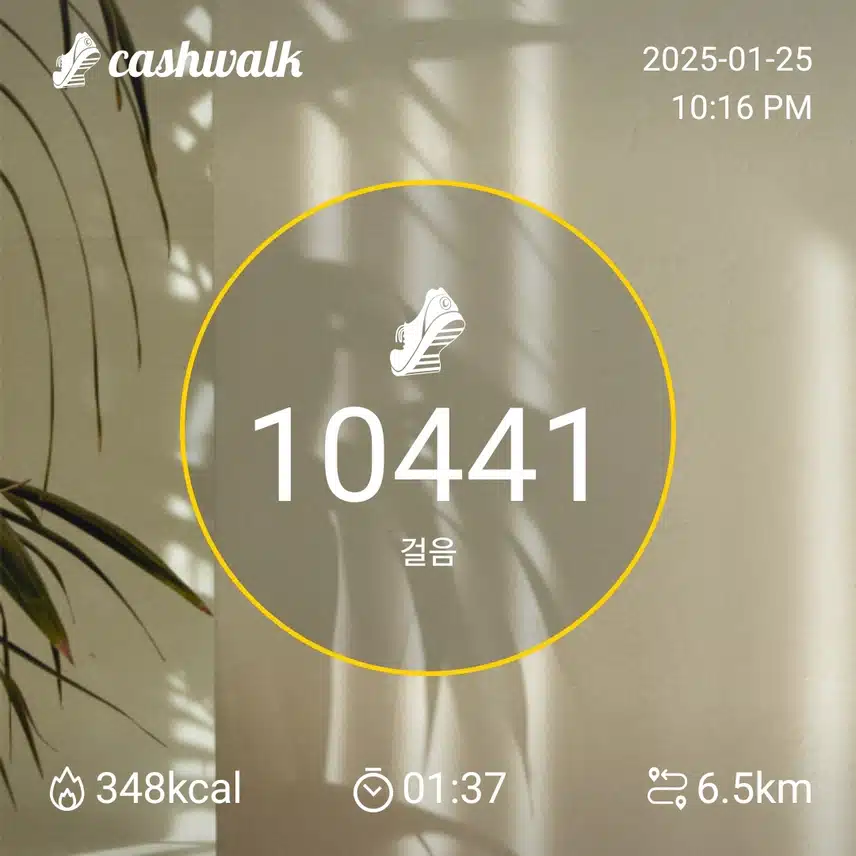 인증