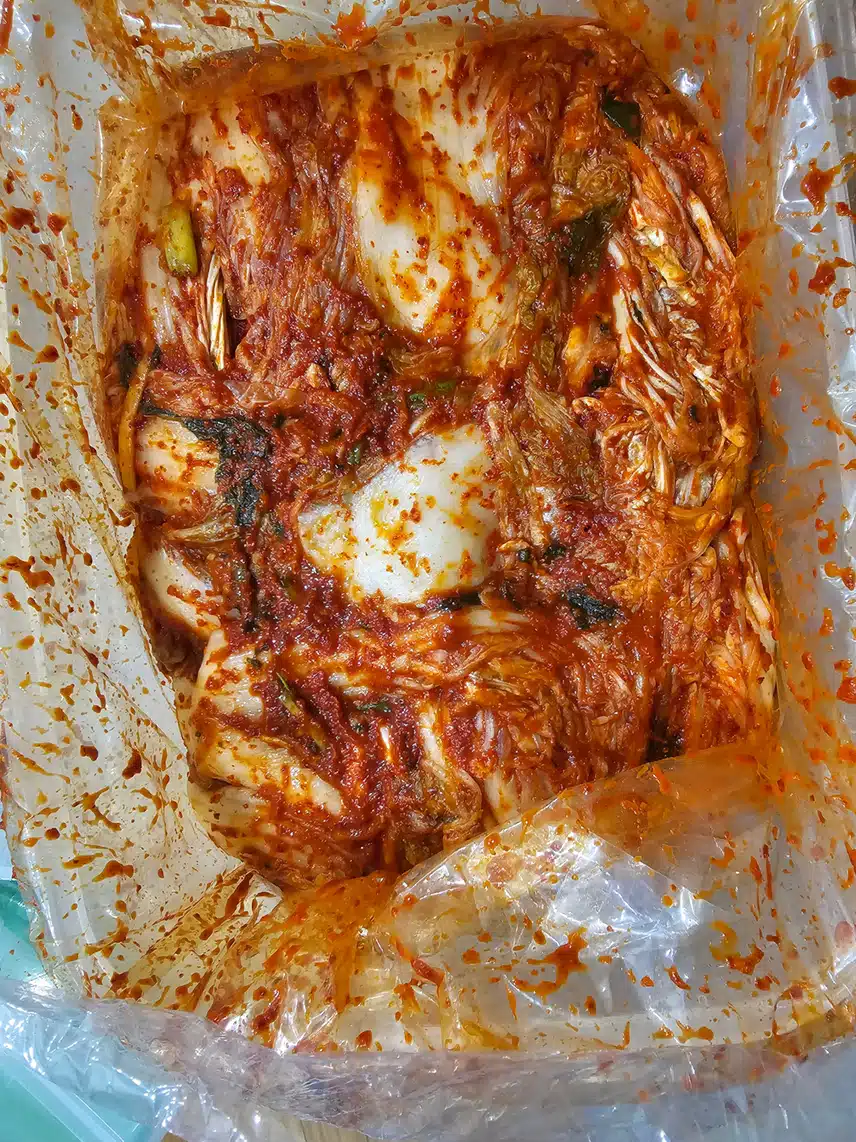 김치 
