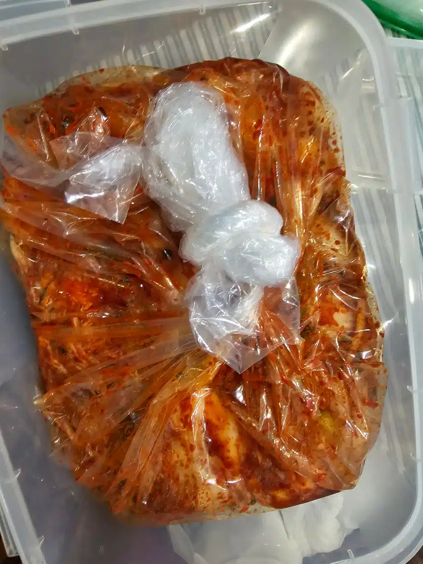 김치 