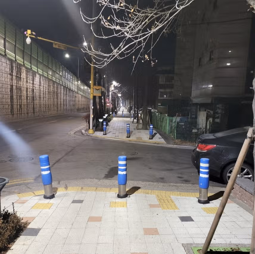 산책중 