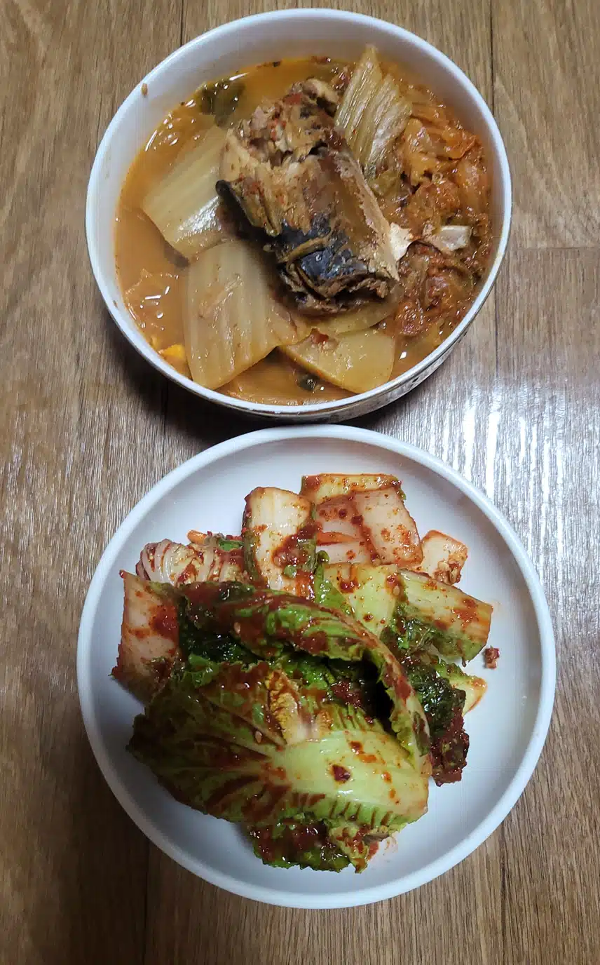 생김치와 김치찌개 