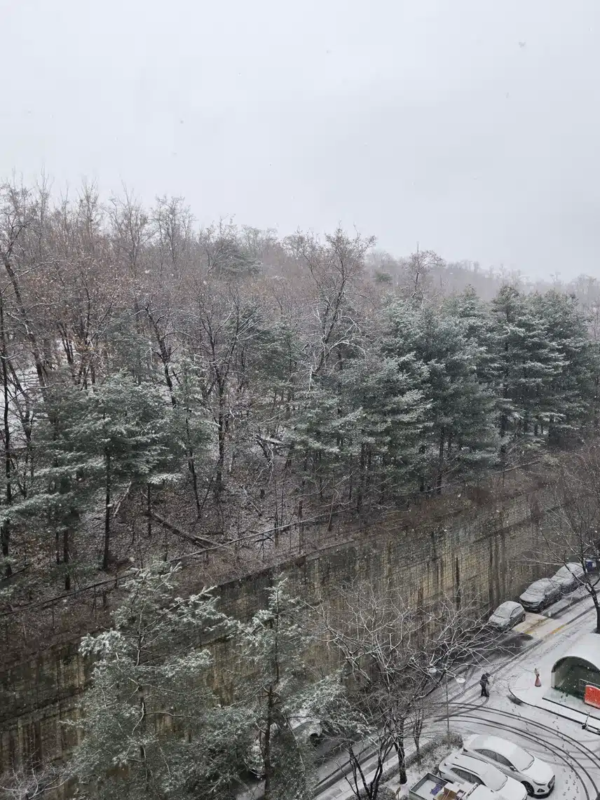 *눈이 쌓여가고 있어요❄️❄️