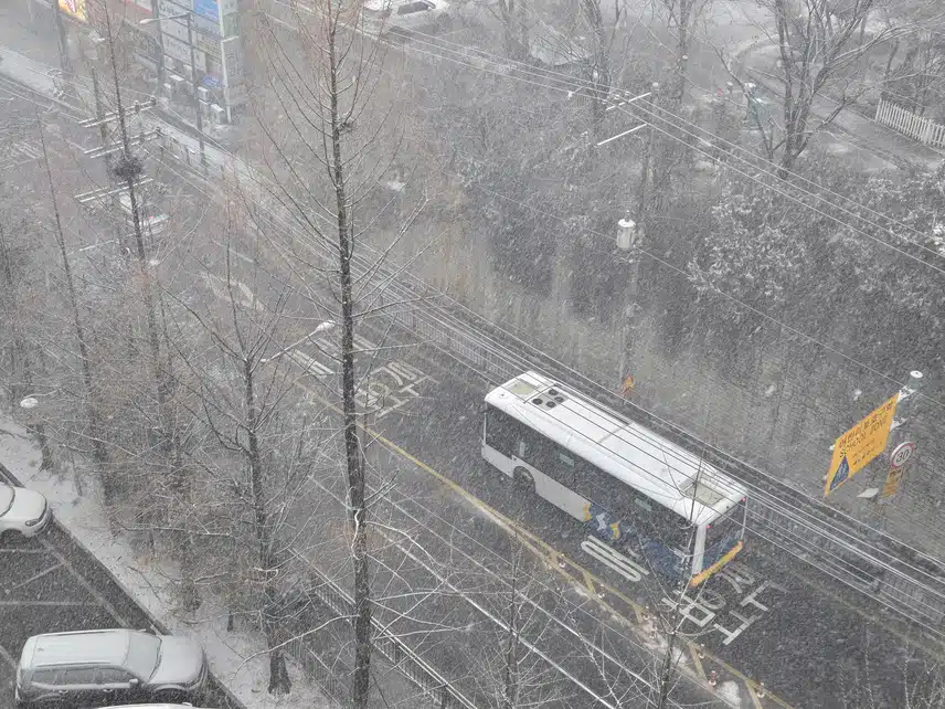 *눈이 쌓여가고 있어요❄️❄️